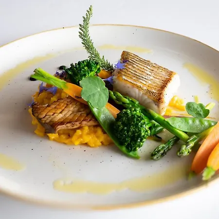 Hotel Leda - Adults Only